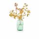 Eva Solo Acorn Vase - Mint Green (16.5cm)