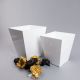 AcryLuso Dustbin Small White