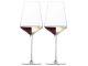 Zwiesel Glass Duo Allround Wine Glass 548ml,2pk
