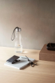 Eva Solo Glass Drinking Bottle 500ml