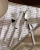 Alessi Dry Cutlery Set 24pc