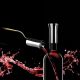 Vagnbys Wine Decanter Carafe with 7-in-1 Aerator and Pourer