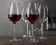 Spiegelau Salute Red Wine Glasses 550ml Set of 4