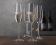 Spiegelau Salute Champagne Flutes 210ml Set of 4