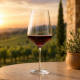 William Warwick Provence Red Wine Glass 555ml 4pk