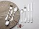 Maxwell & Williams Cosmopolitan 42pc Cutlery Set Gift Boxed