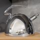 Carrol Boyes Stovetop Kettle – Diver
