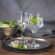 LAV Bartender’s 6-Piece Gin & Tonic Glasses Set